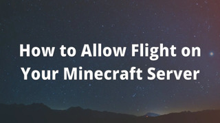 How to Allow Flight on Your Minecraft Server